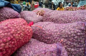Harga Bawah Merah Naik 8,33 Persen